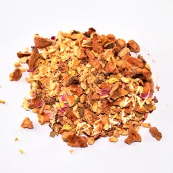 TISANA GINGER DREAMS (BIO)